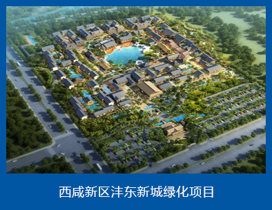 案例2.jpg