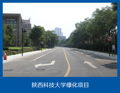 案例1.jpg