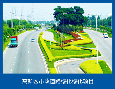 案例5.jpg